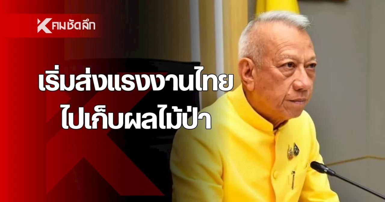 สวีเดน-ฟินแลนด์ เปิดรับแรงงานไทยไปเก็บผลไม้ป่า เช็กเงื่อนไข คุณสมบัติที่นี่