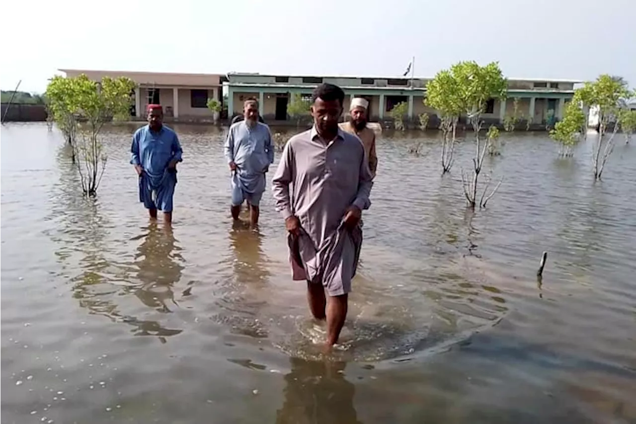 Heavy rains hit Pakistan's south as this monsoon's death toll rises to 209