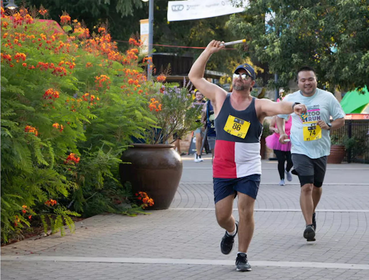 San Antonio Zoo to kick off 39th Annual Zoo Run in September