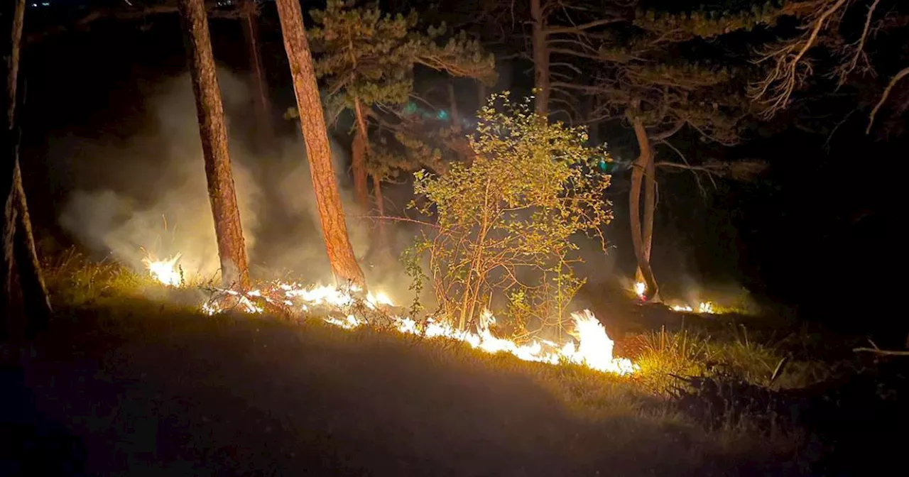 Nach Blitzschlag: Stundenlanger Einsatz bei Waldbrand im Bezirk Baden