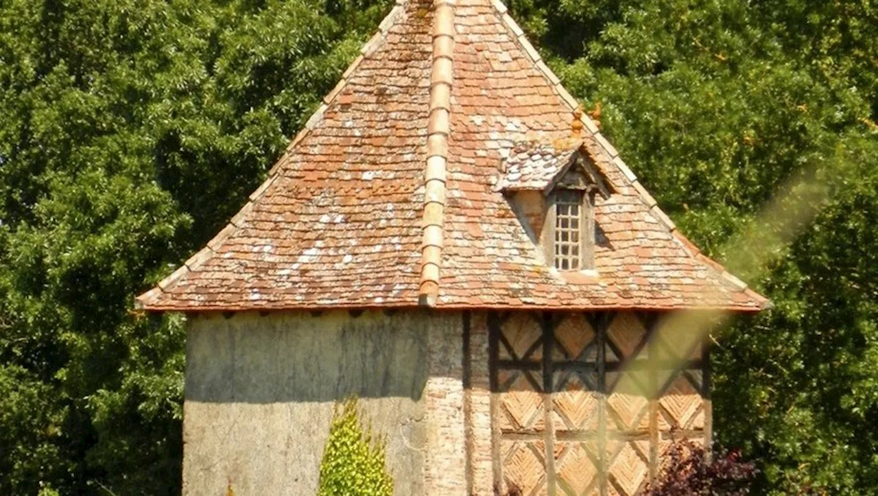 Lavaur. Du pigeonnier au pastel en visite guidée