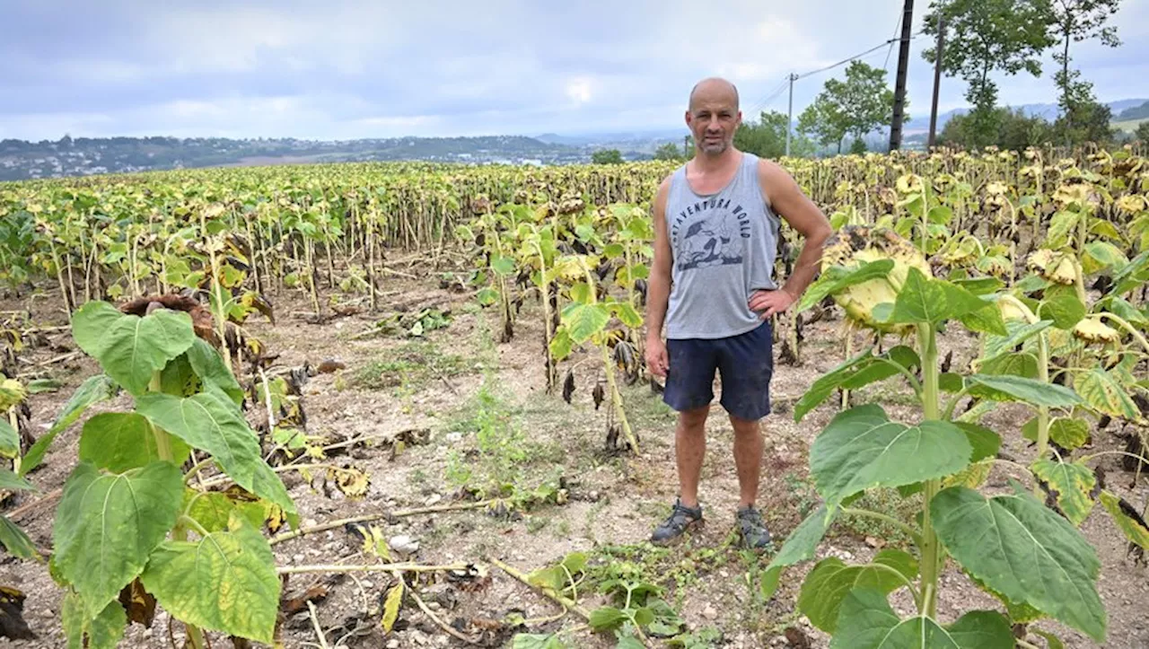 'J’avoue que j’en ai un peu marre'. Cet agriculteur tarnais s’est fait voler son canon effaroucheur