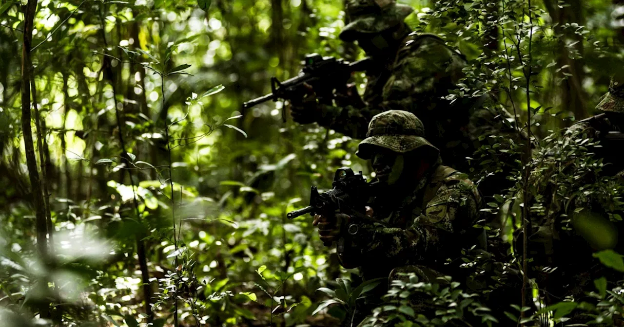 Campesinos atrapados en combates en Argelia, Cauca