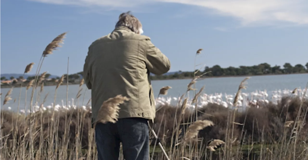 Dans les salins de Hyères, des balades entre sel et terre