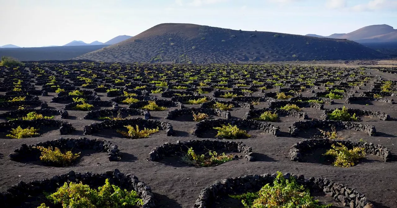 48 heures à Lanzarote, l’île aux paysages lunaires