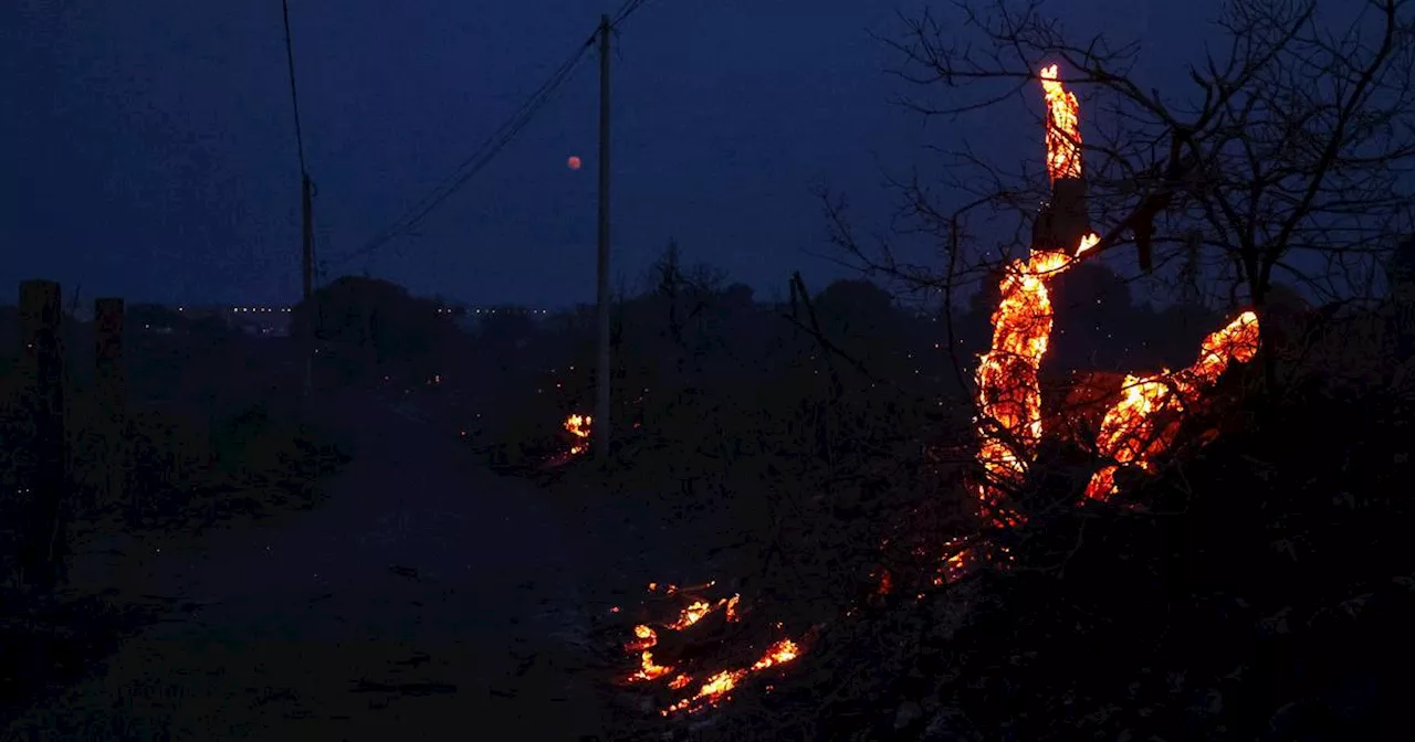 Hérault: l'incendie de Frontignan «fixé» après avoir ravagé 350 hectares de pinède