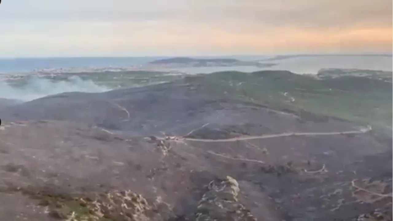 Incendie dans l’Hérault : les images du massif de la Gardiole, où 350 hectares ont brûlé