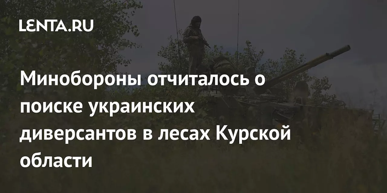 Минобороны отчиталось о поиске украинских диверсантов в лесах Курской области