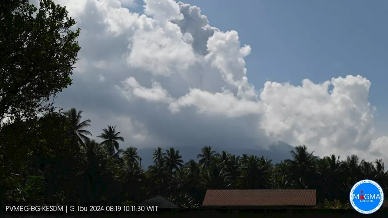 Gunung Ibu Erupsi Dahsyat Senin 19 Agustus 2024, Tinggi Kolom Abu Capai 2.000 Meter