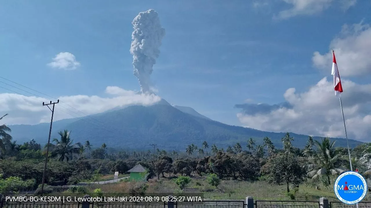 Gunung Lewotobi Laki-Laki Erupsi Lagi, Semburkan Abu Vulkanik 800 Meter ke Arah Barat Daya