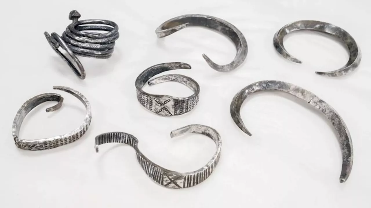 'Spectacular silver treasure' from Viking Age unearthed by college student on farm in Denmark