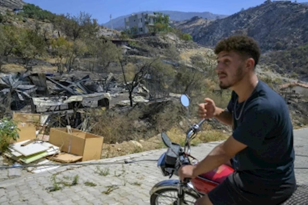 From paradise to hell: Turkish village stunned as forest fires turn olive trees and beehives to ashes