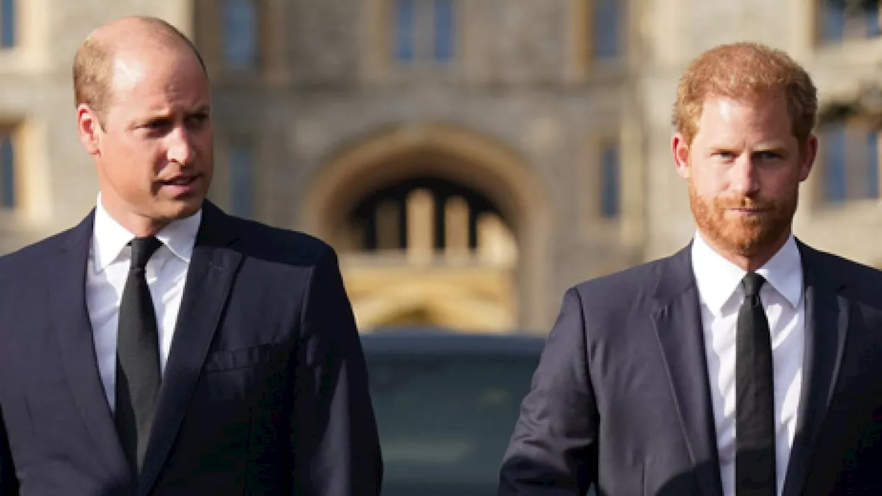 Prince William Allegedly Doesn't Want Prince Harry at His Future Coronation