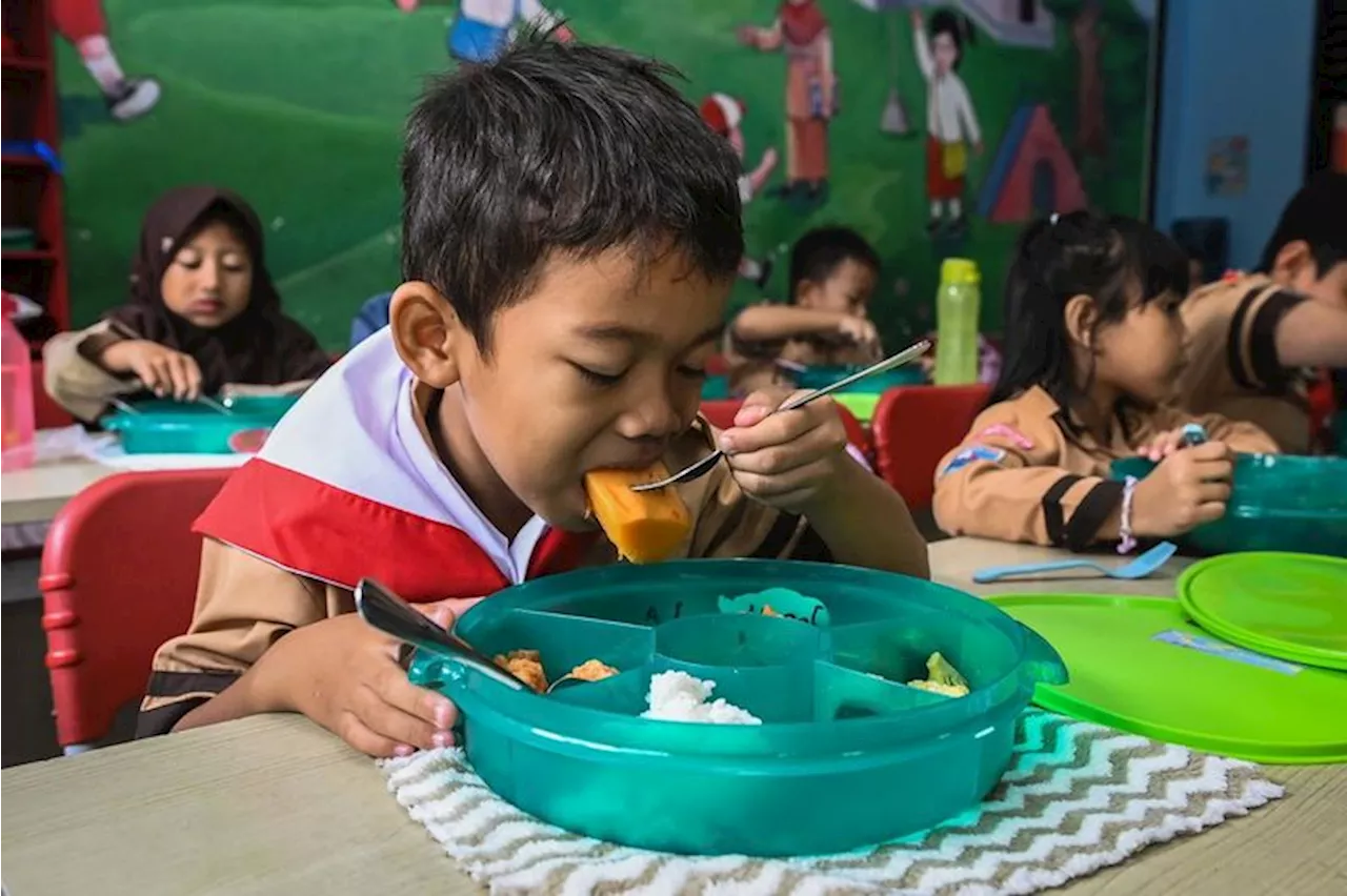 Anggaran Selangit, Badan Gizi Nasional Diusulkan Turut Serta Kembangkan UMKM