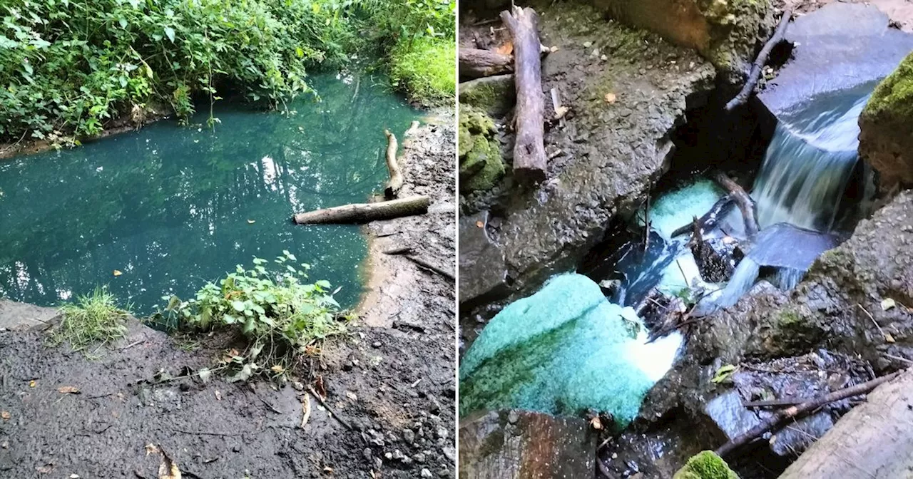 Mystery as stream running through park keeps turning strange colour