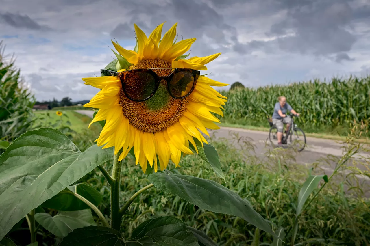 Sonne, Regen, Wolken - wechselhaftes Wetter in Bayern