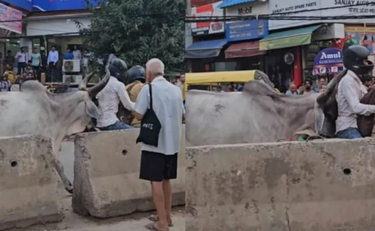 सड़क पर सांड का तांडव, बाइक सवार पर पीछे से किया हमला, भीड़ के साथ जो हुआ उसे देख कांप उठेगी रूह