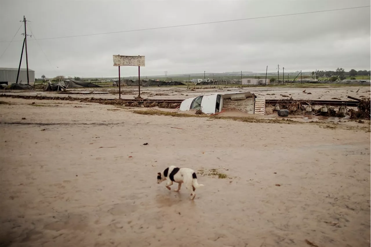 'Back to new normal' for Swartland flood victims after weekend flash flood