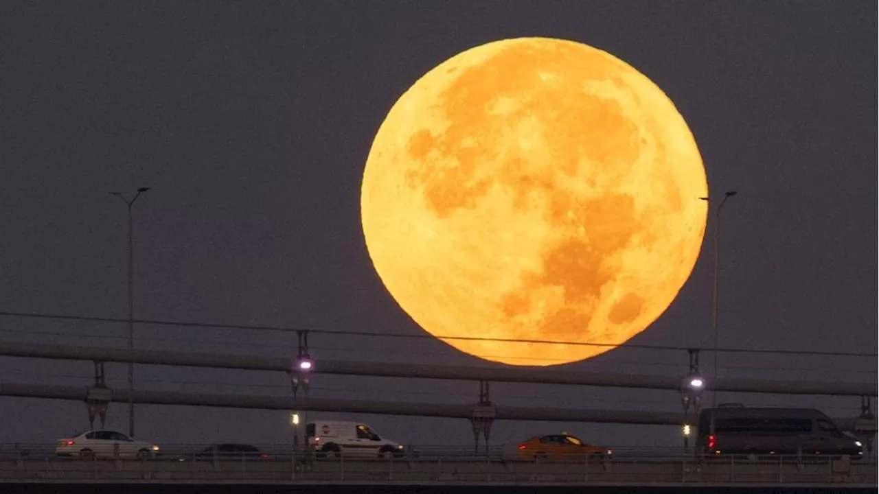 Get ready for a celestial spectacle: Blue supermoon to light up San Antonio