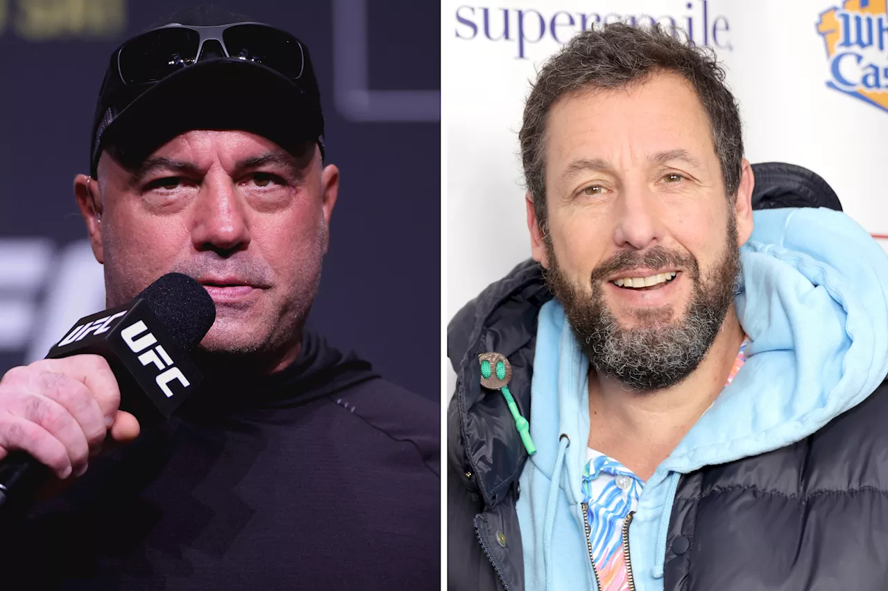 Joe Rogan Gives Adam Sandler Health Advice—'You Got Money'