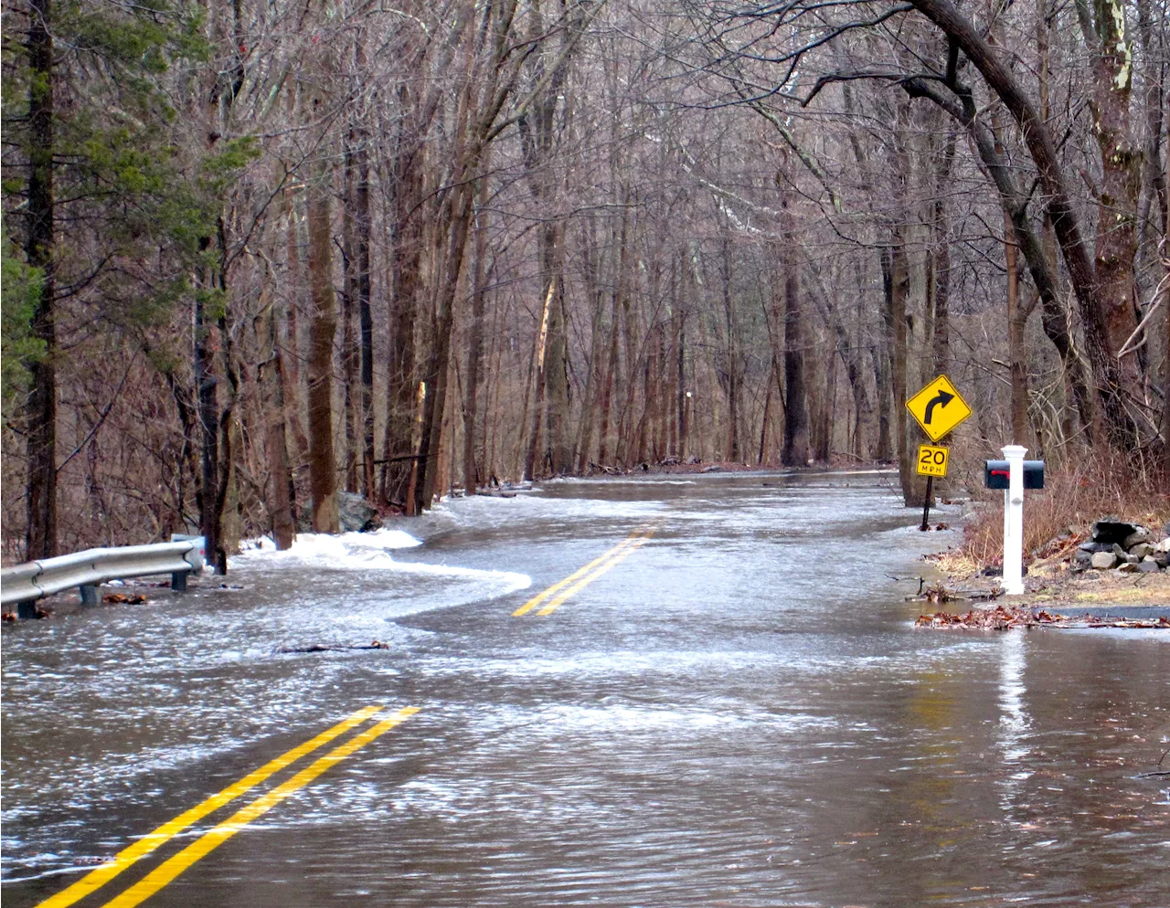 Video Shows Rescue of Man, Dog During Catastrophic Connecticut Floods