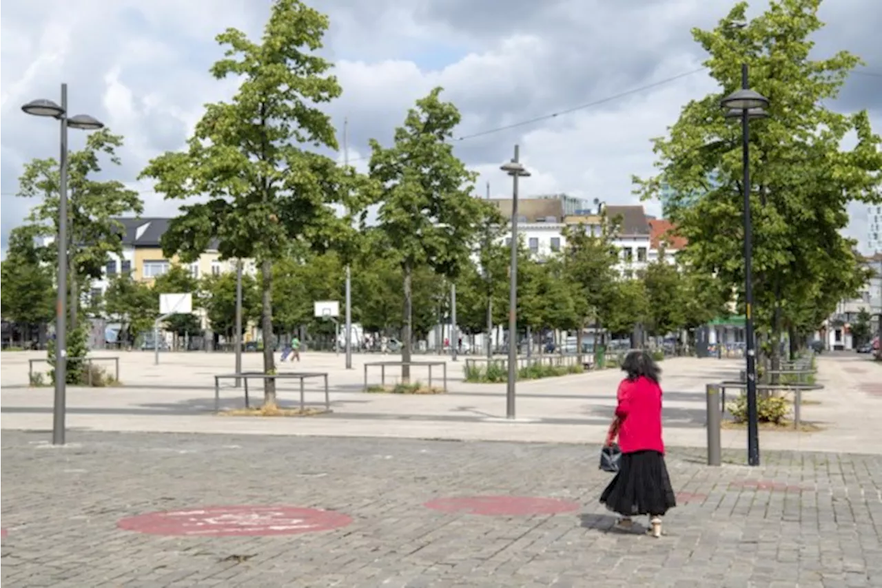 Veertiger tijdlang in levensgevaar na klap met metalen staaf in Antwerpen: verdachte gearresteerd