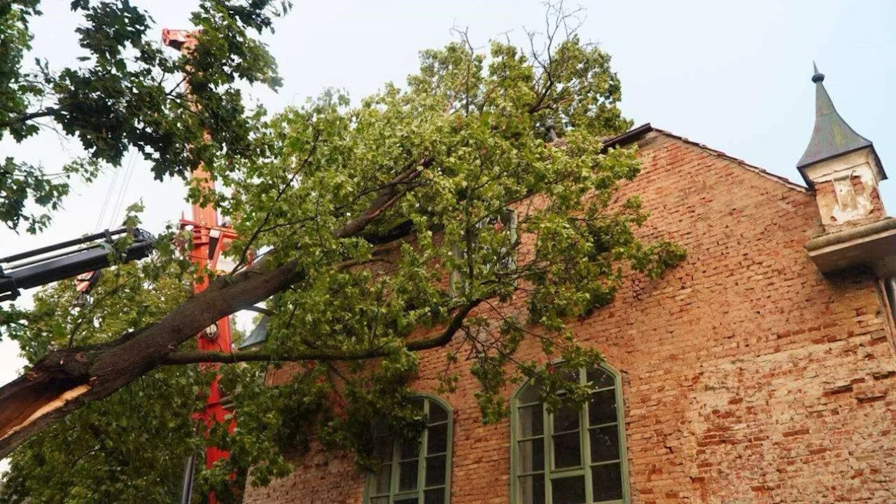 Baum krachte in Maria Jeutendorf auf Haus