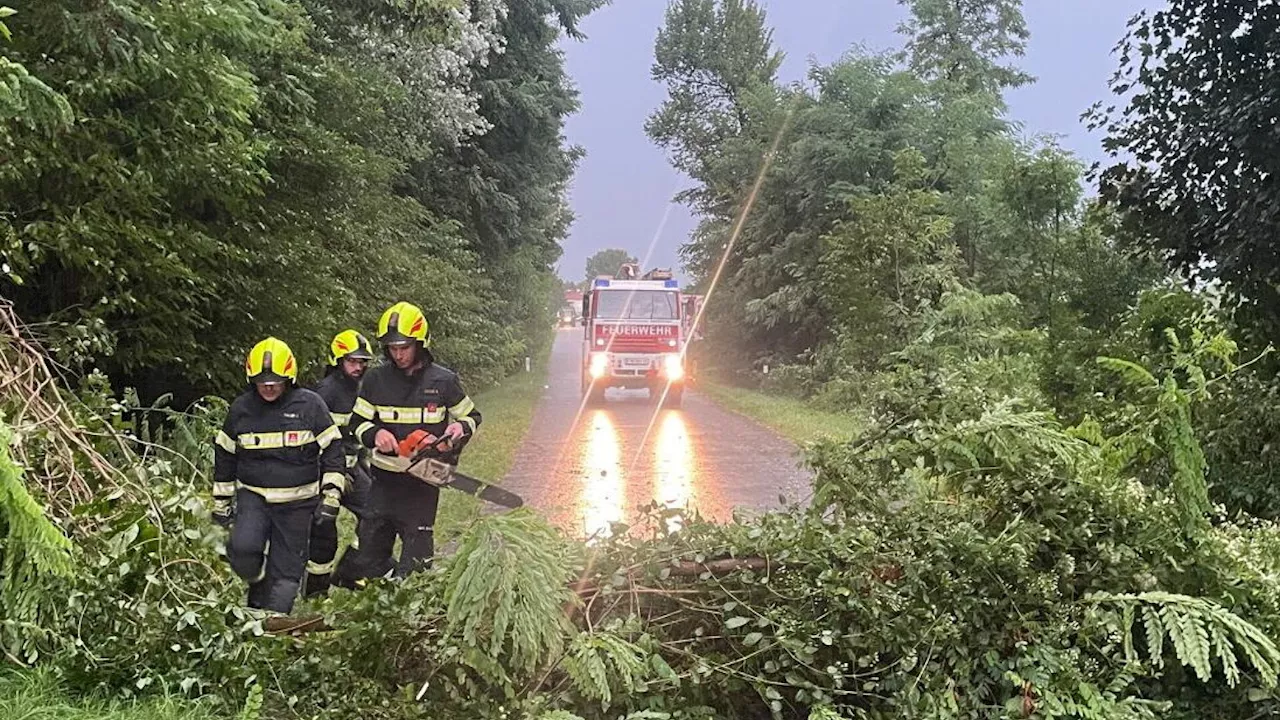 Unwetter-Einsätze im Bezirk Tulln