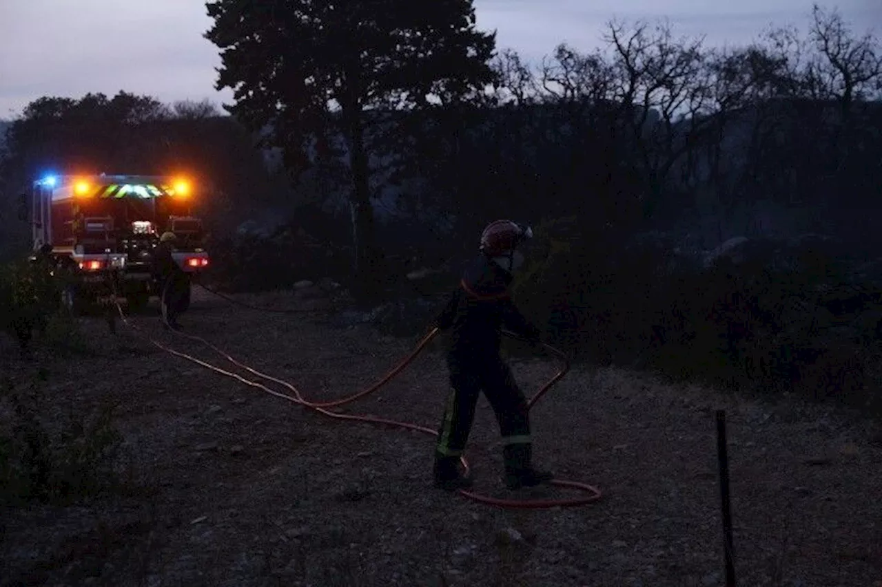 L'Occitanie en proie aux flammes dans l'Hérault et les Pyrénées-Orientales