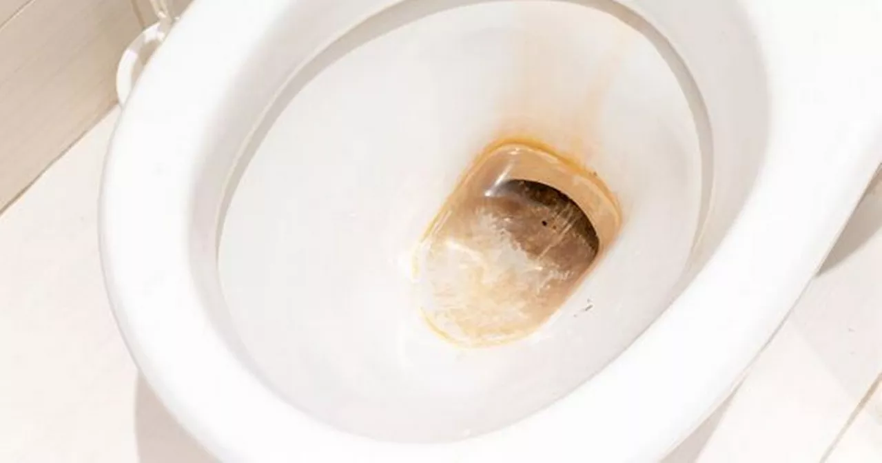 Toilet limescale 'melts off' in just 10 minutes with cleaner