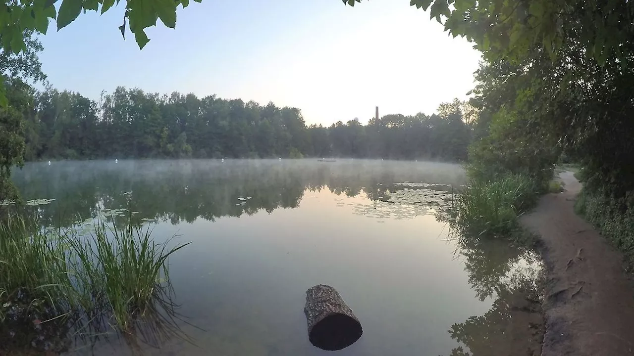 Berlin & Brandenburg: Badewarnungen: Bakterien im Teufelssee, Algen in Unterhavel