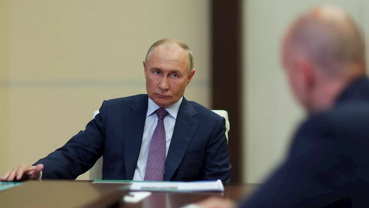 Hilfe bei Antrag auf Aufenthalt: Putin wirbt um Ausländer, die Gegner ihrer Regierung sind