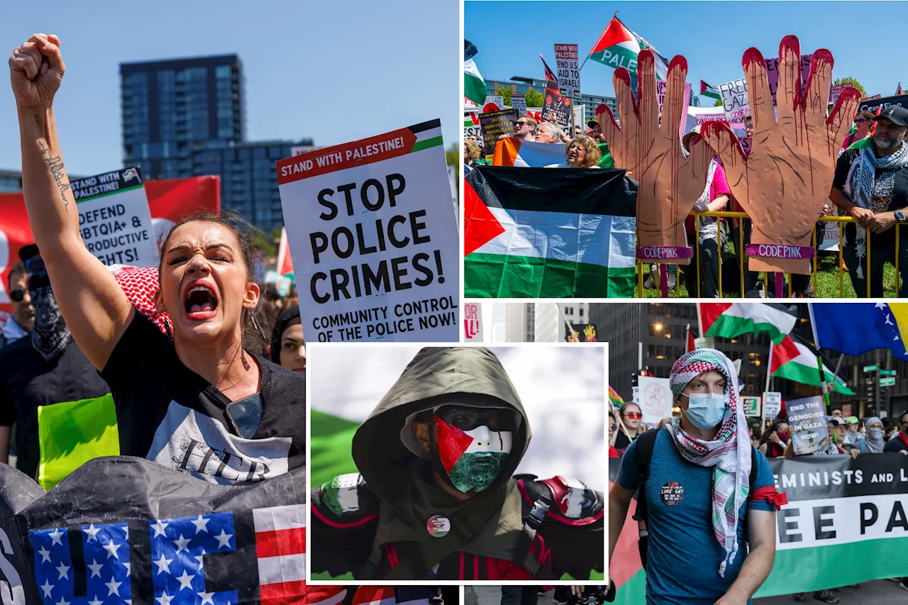 Anti-Israel protesters at DNC fall far short of attendance expectations, splinter over Harris candidacy