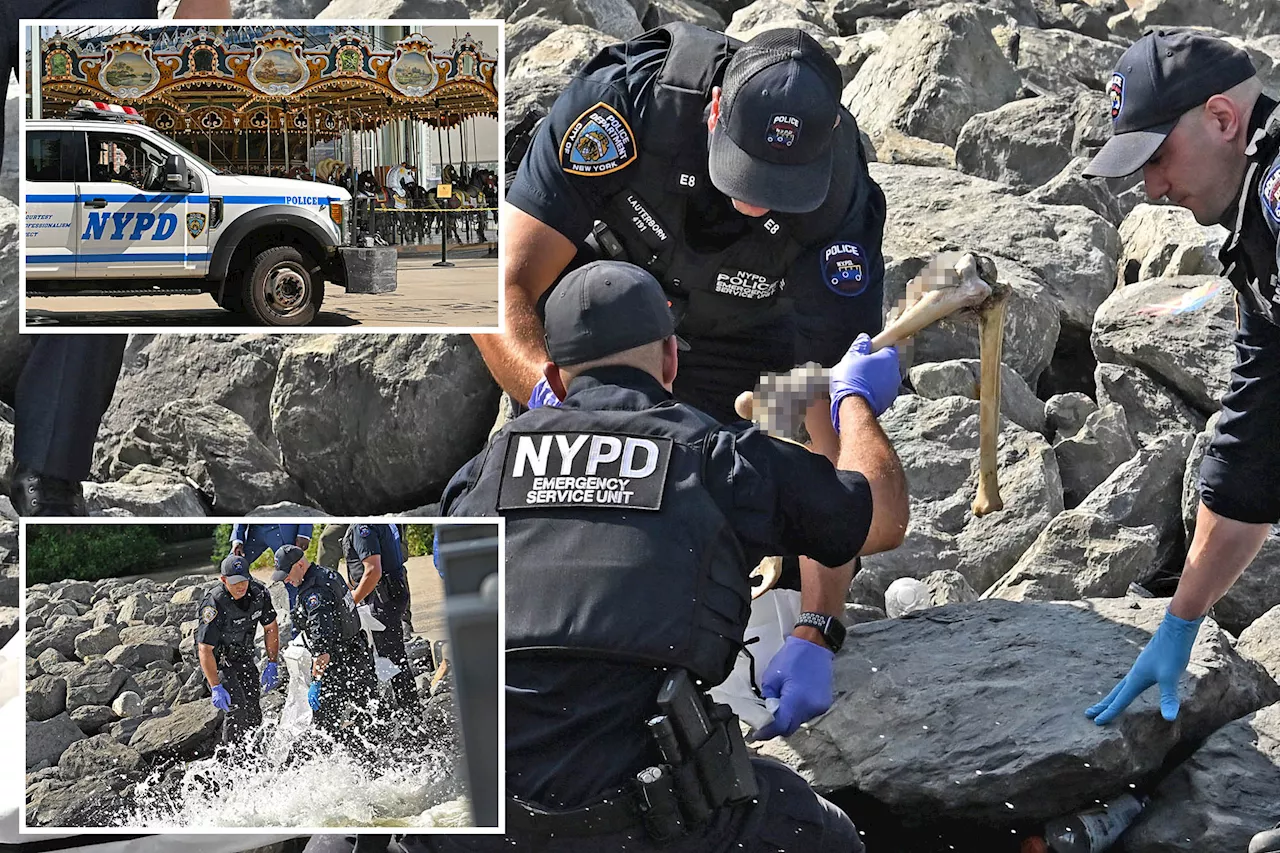 Parks worker makes chilling find near famed NYC carousel