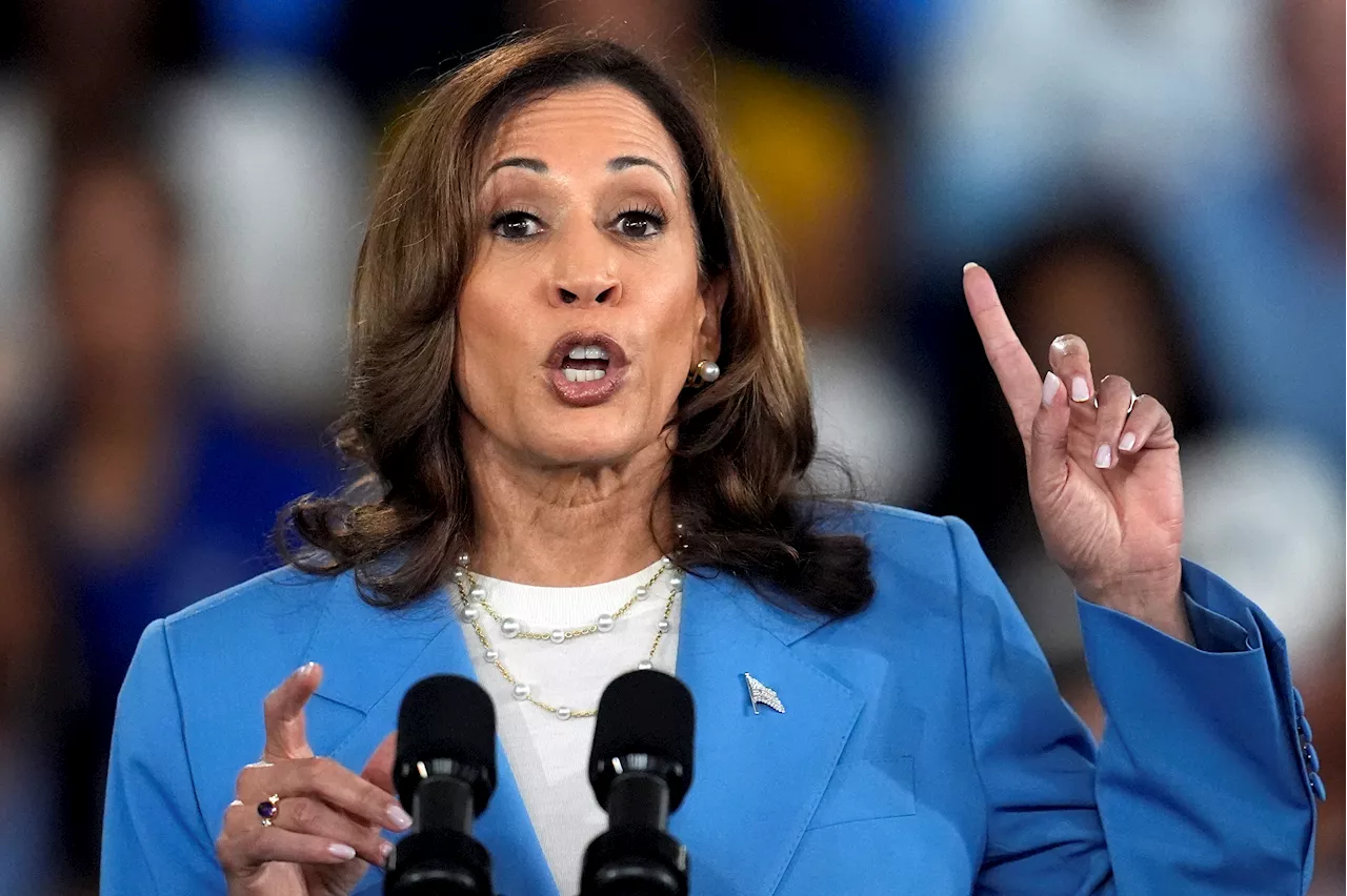 Trump surrogates slam 'pure socialism' of Harris' economic policies, predict polling slump