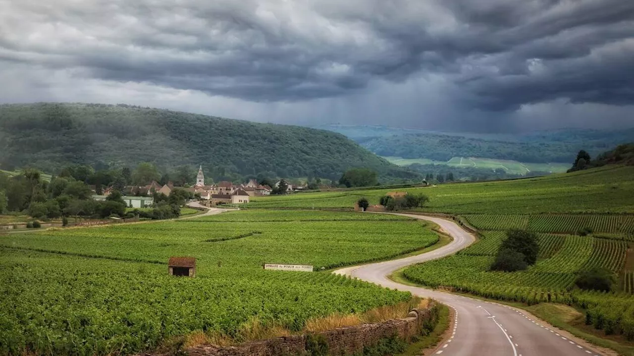 Cet itinéraire magique au cœur du vignoble de Bourgogne est idéal pour des vacances à vélo