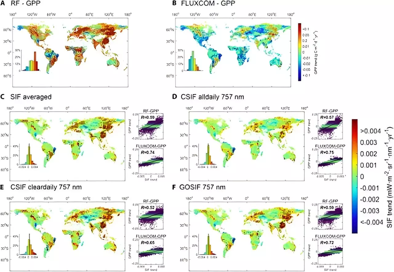 Green light for accurate vegetation research: Evaluation of global SIF datasets