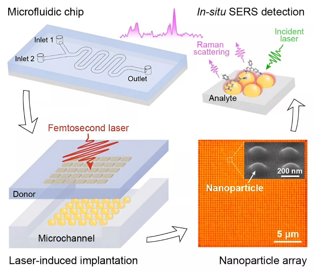 Researchers develop nanoparticle array implantation for sensitive and reusable detection