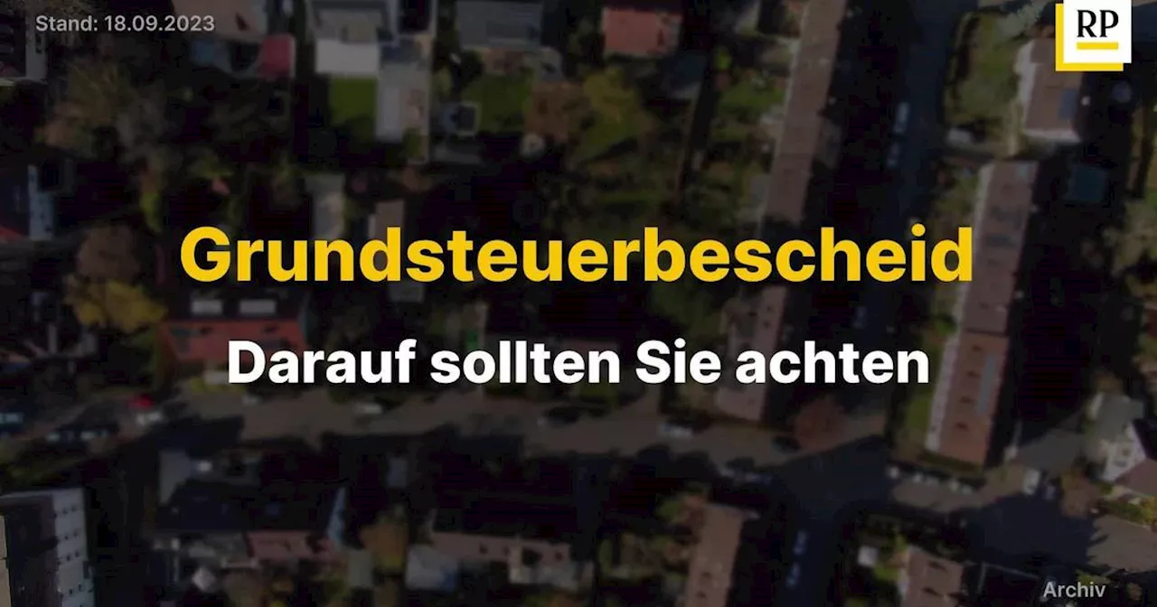 Video: Grundsteuerbescheid: Ab wann sich ein Einspruch lohnt und worauf Sie achten sollten