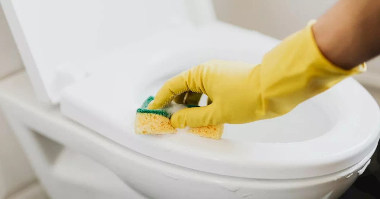 Cleaning expert confirms the 7 ways to unclog your toilet without calling a plumber