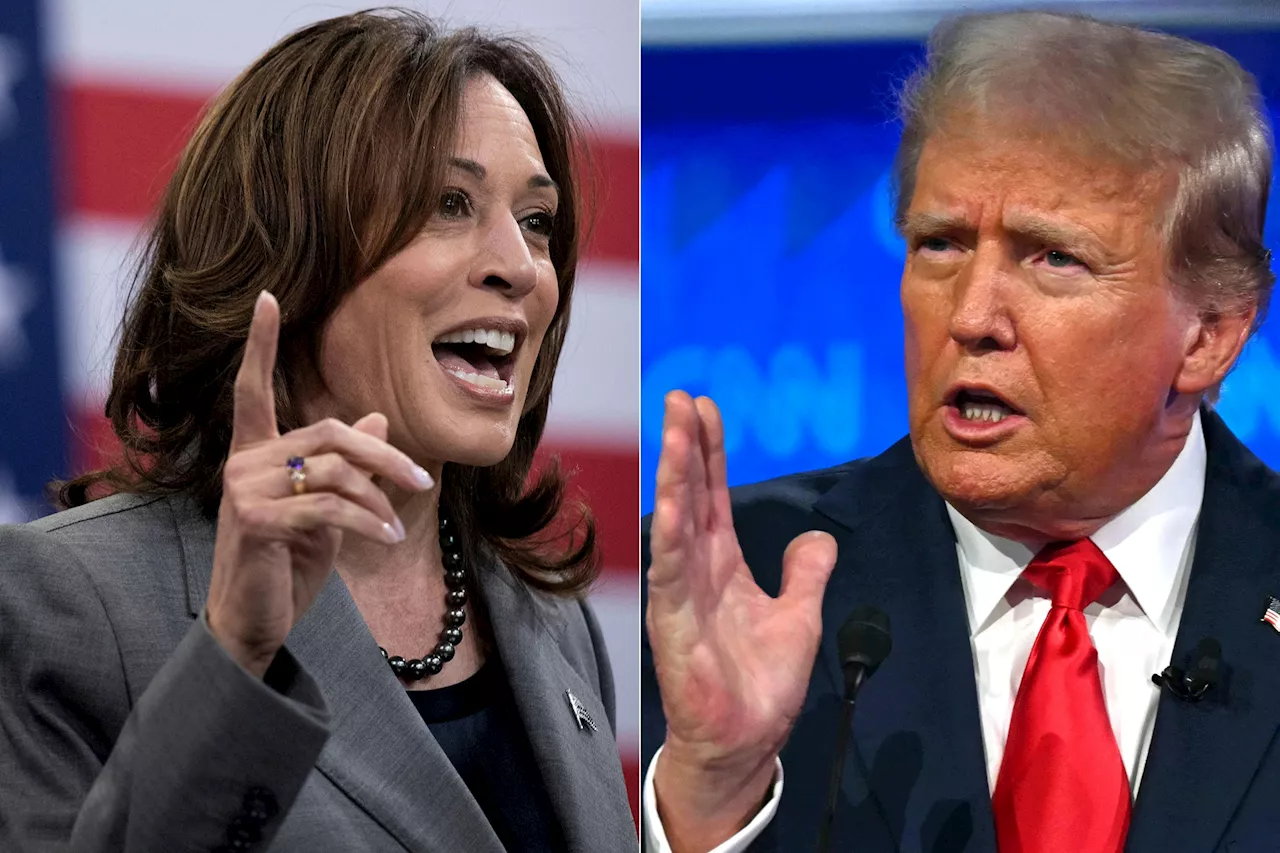 Présidentielles américaines : les dates clés du duel entre Kamala Harris et Donald Trump