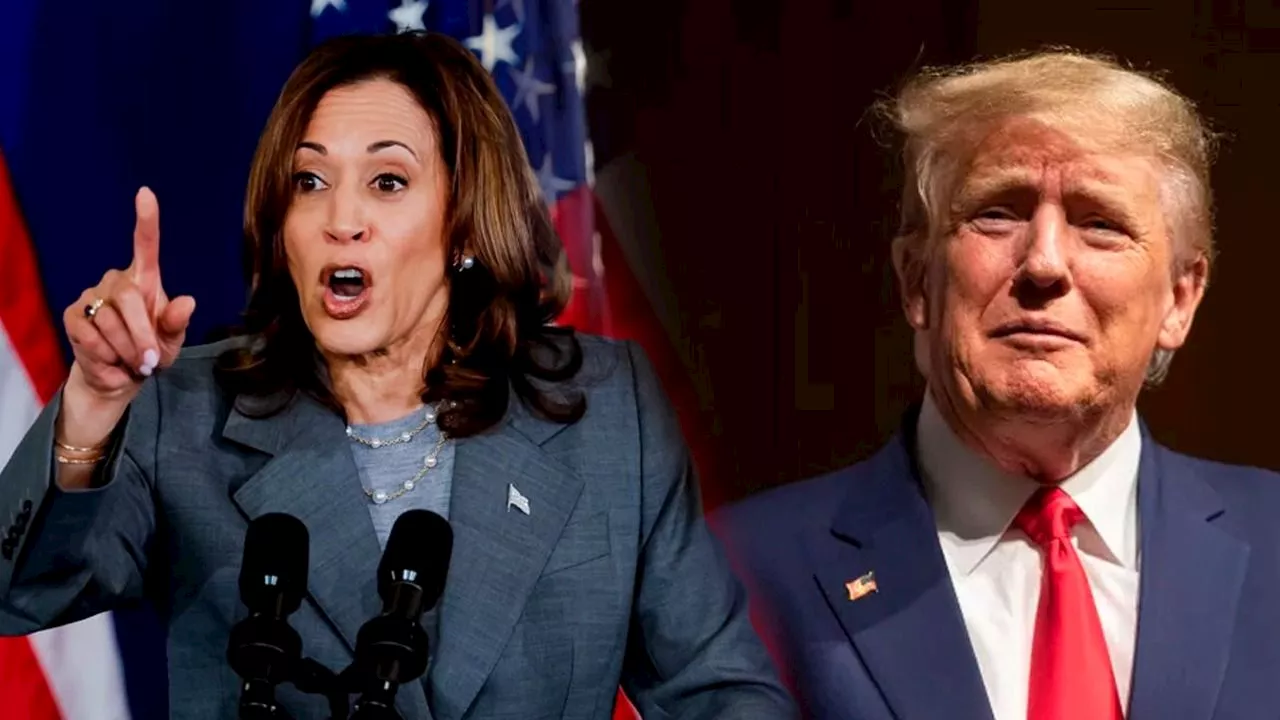 Kamala Harris passa Donald Trump e se torna favorita a presidência nas casas de aposta