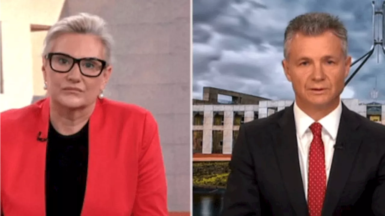 ‘Not true at all’: Thistlethwaite and Hughes face off in fiery debate over Gazan refugees