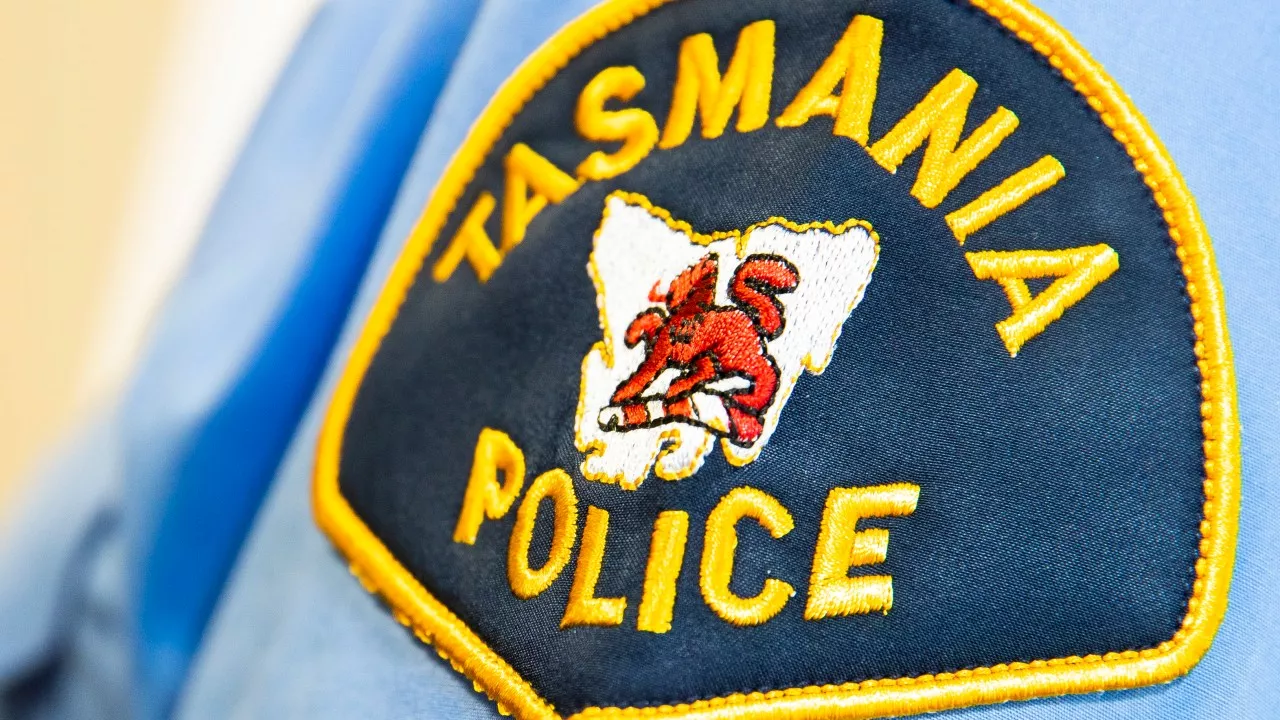 Tasmanian teenager killed by falling tree branch