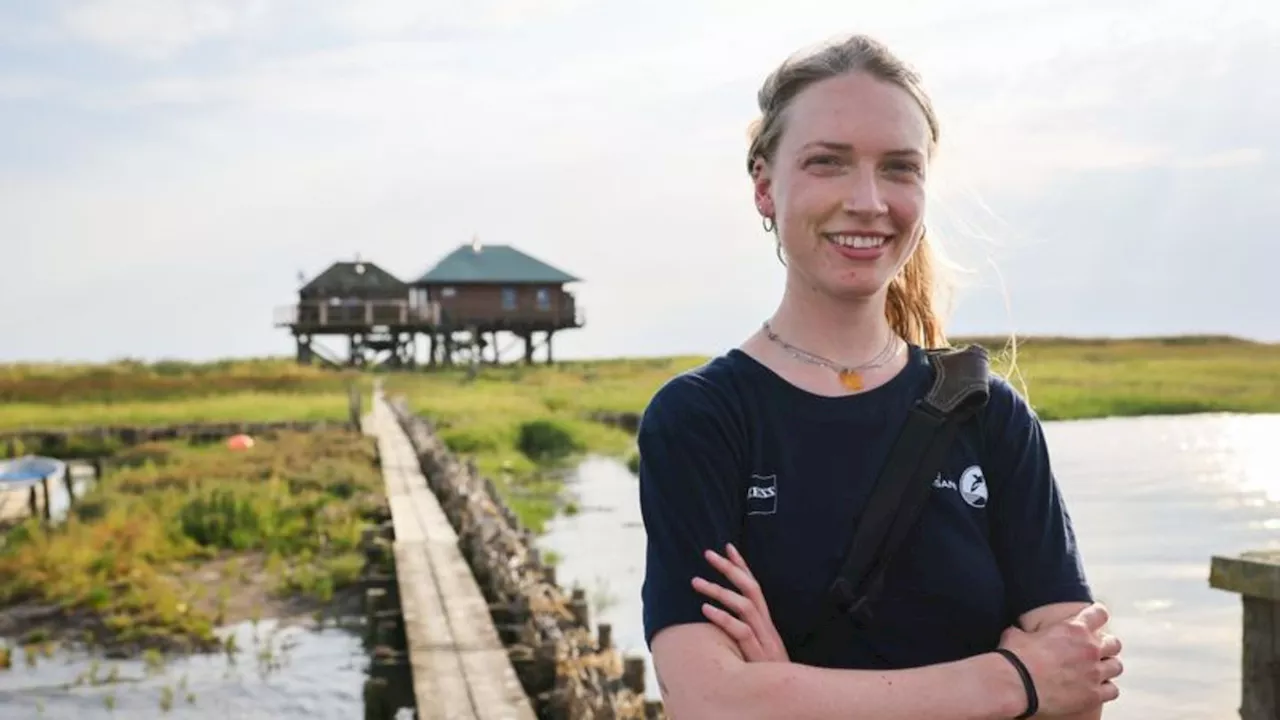 Menschen und Natur: Als Vogelwartin im Wattenmeer allein unter Vögeln