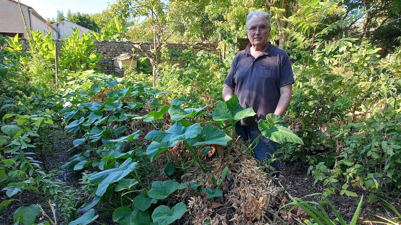 Charente-Maritime : un livre manifeste pour l’indispensable retour des haies dans l’agriculture