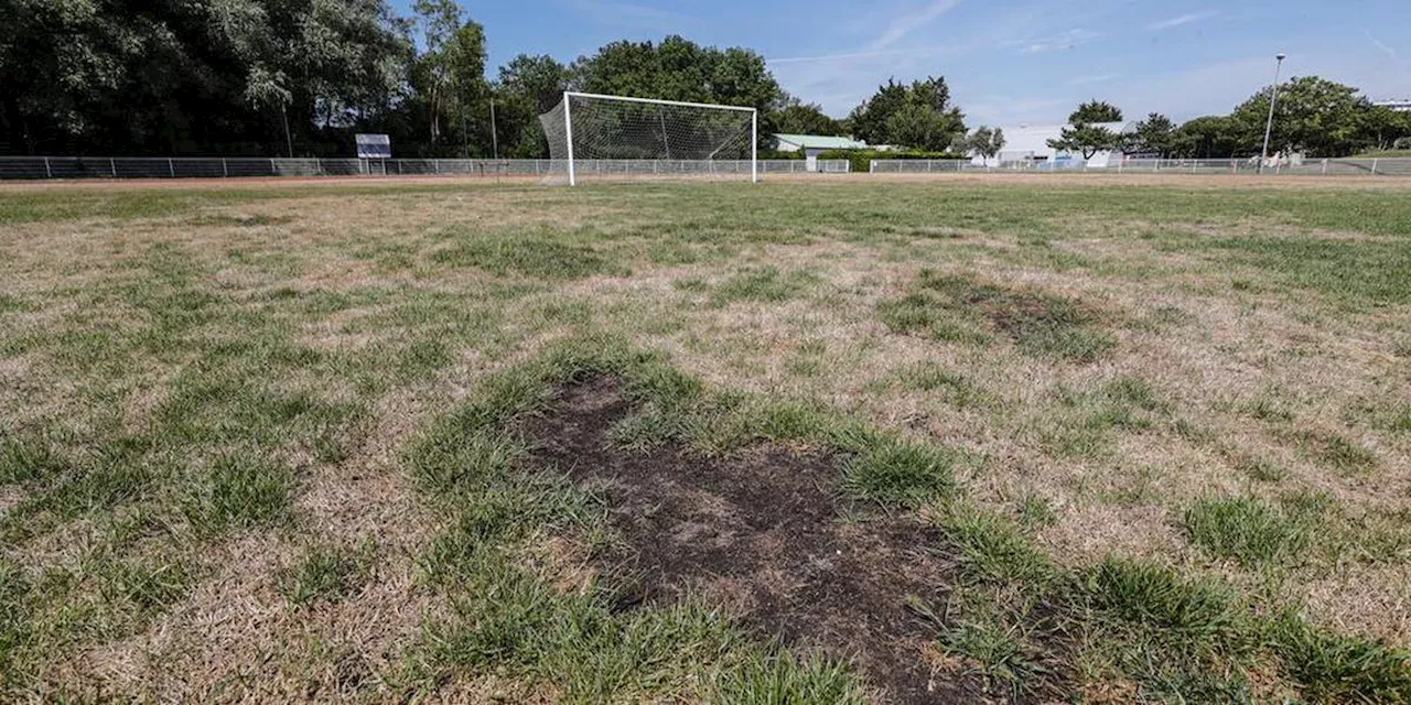 Un enfant de 11 ans mortellement poignardé sur un terrain de foot, le suspect toujours en fuite