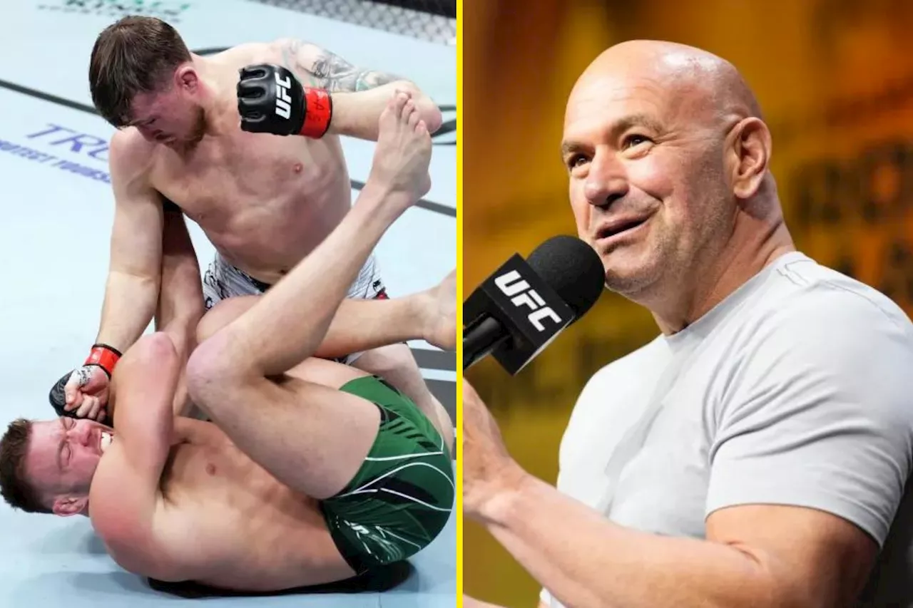 Darren Till sends proposal to Dana White as Dricus du Plessis mocks him for giving Israel Adesanya tips...