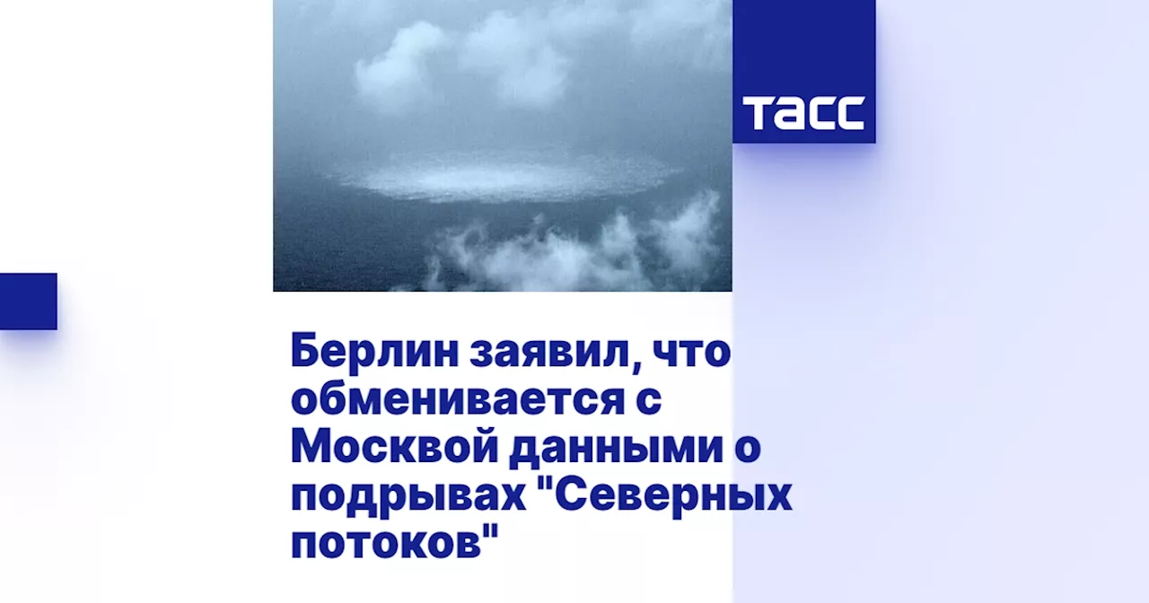 Берлин заявил, что обменивается с Москвой данными о подрывах 'Северных потоков'