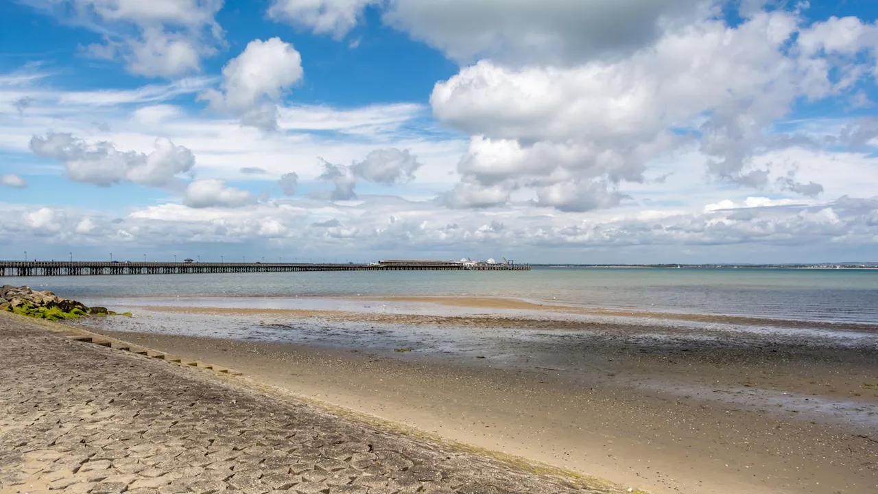 Iconic seaside tradition in danger of dying out for good after entertaining holidaymakers for over a...